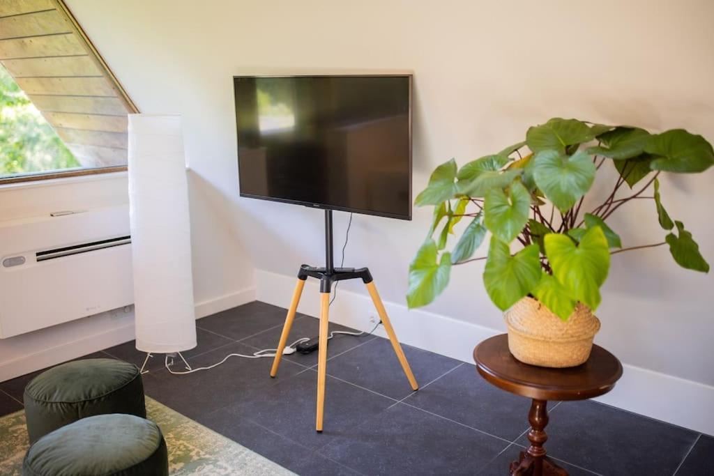 Wonderful 50M2 Loft Eindhoven - Ks8 Appartement Buitenkant foto